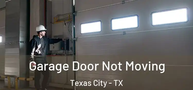  Garage Door Not Moving Texas City - TX